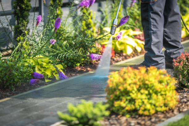 Best Dumpster Area Cleaning  in Woodson Terrace, MO