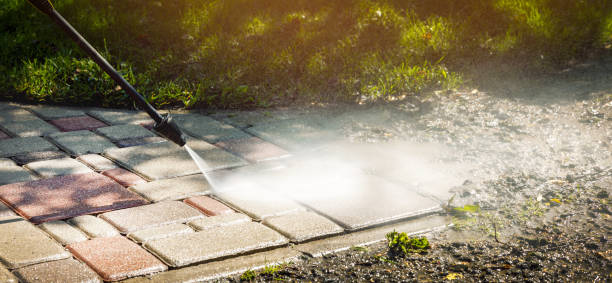 Best Animal Enclosure Cleaning  in Woodson Terrace, MO